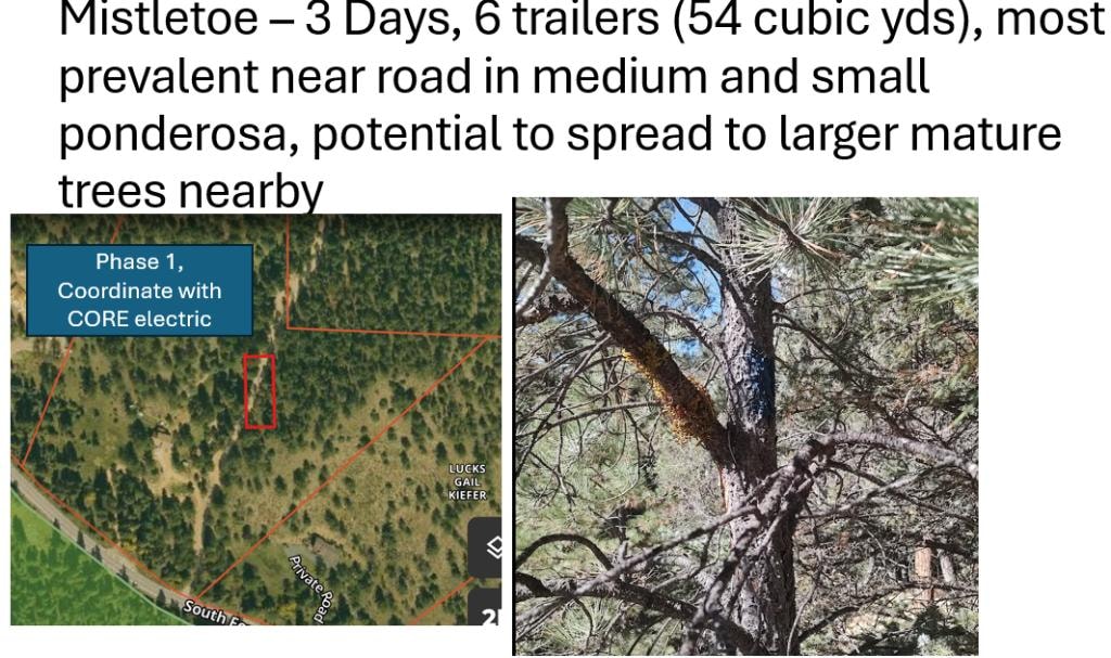 Aerial tract planning map for forest property project