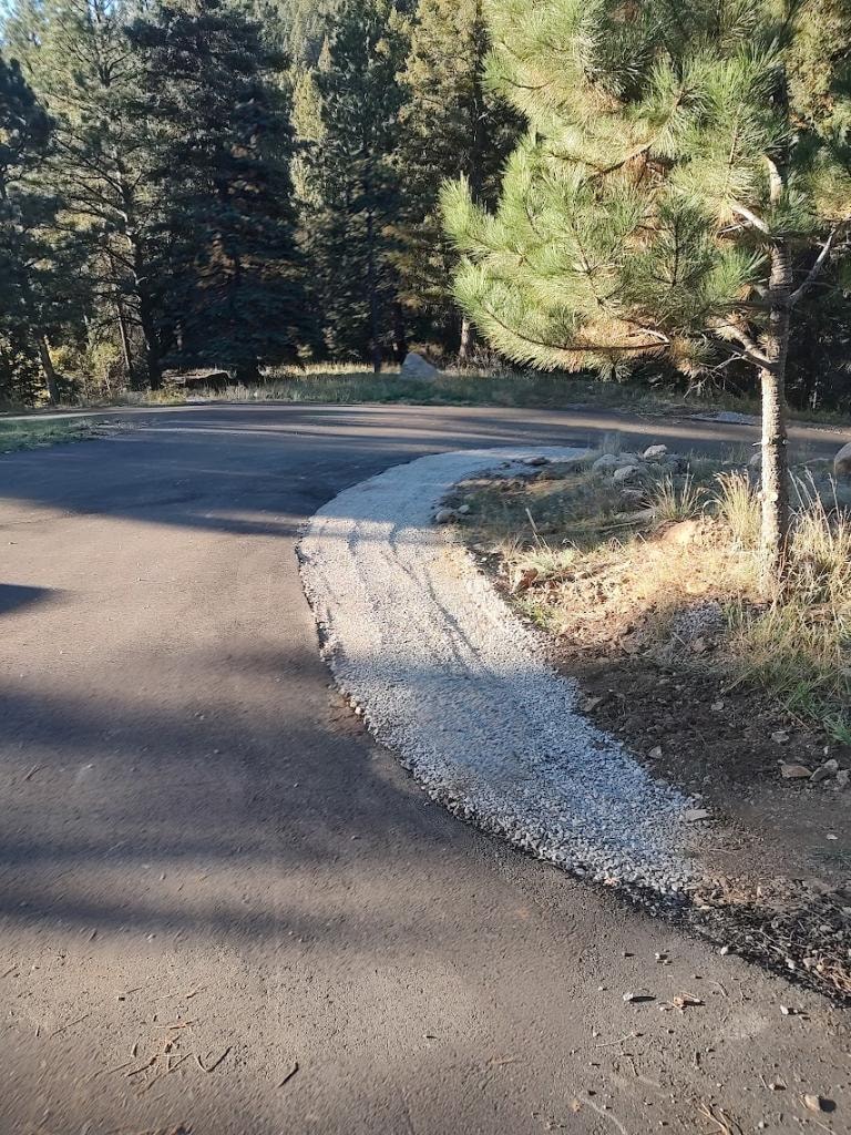 Blue-marked downed snag on steep slope awaiting technical removal